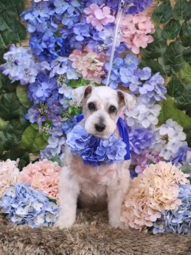 20250607ボルトくん